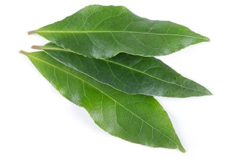 NEOflorax sadrži lovorov list