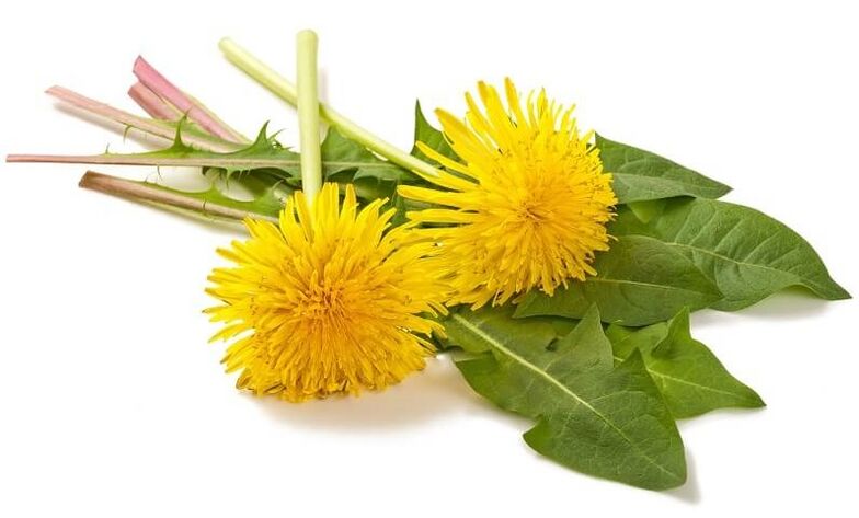 NEOflorax sadrži maslačak